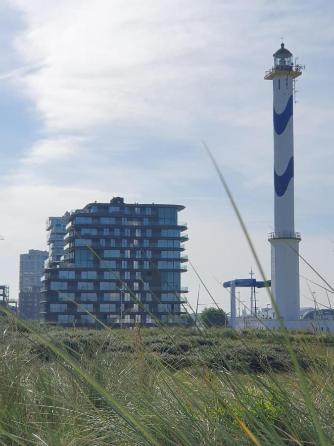 Central Park Tower Sea View Residence With Pool And Gym Ostende Extérieur photo